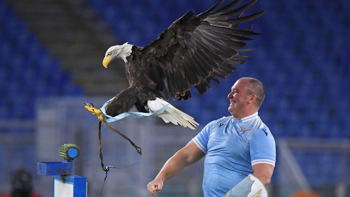 Lazio, Mussolini et l’aigle qui piaille comme un canard |  des sports