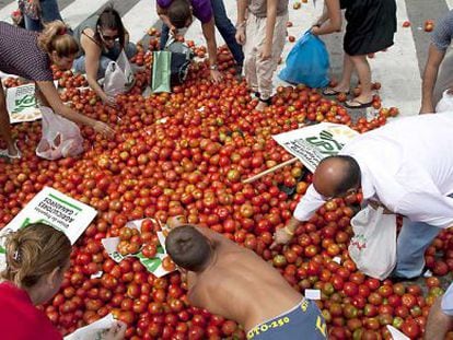 Varias personas cogen tomates tras una protesta de agricultores en septiembre.