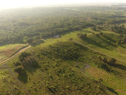 Una visión aérea de la zona del suroeste de Aguada Fénix (Tabasco, México).