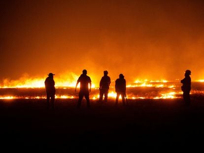 Bomberos intentan apagar un incendio en Ercilla, región de la Araucanía (Chile).