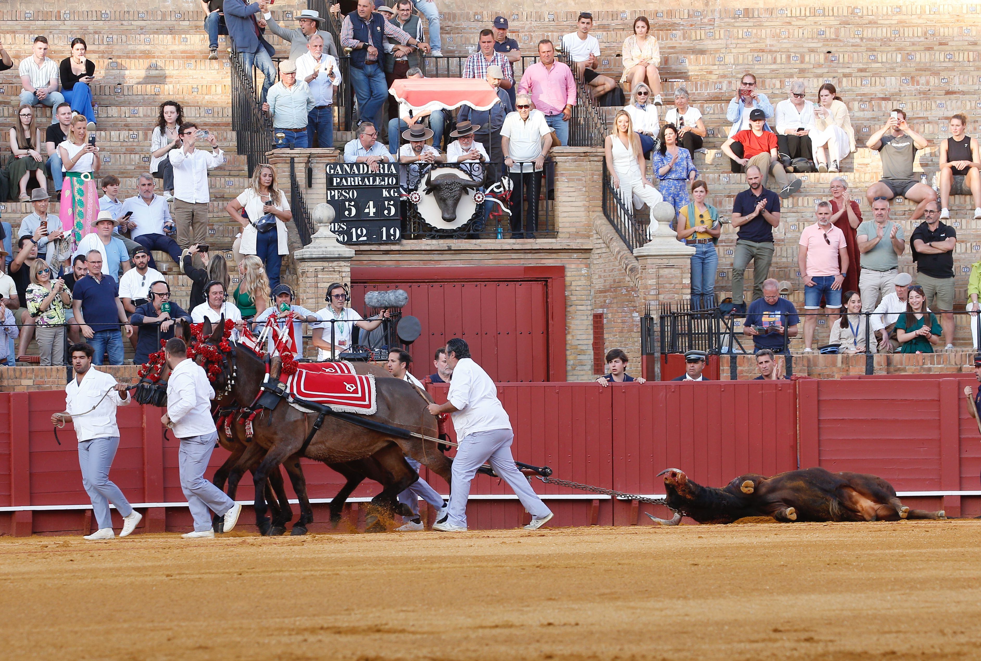 Vuelta al ruedo al toro 'Oloroso', de la ganadería de El Parralejo.