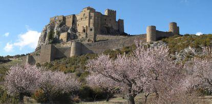 Almendros ante el castillo de Loarre, en Huesca.