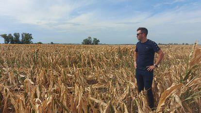 Sebastián Avagnina, ingeniero agrónomo, observa en su campo el maíz afectado por la sequía.