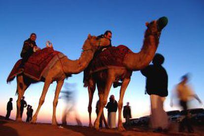 Safari en camello en el desierto de Dubái.