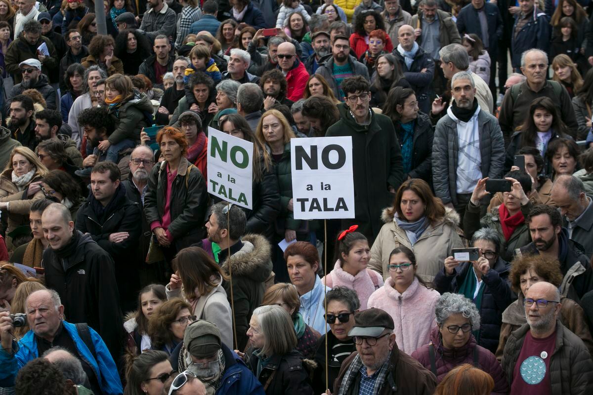 Madrid Neighborhood Movement Takes Fight Against Tree Felling to the European Parliament