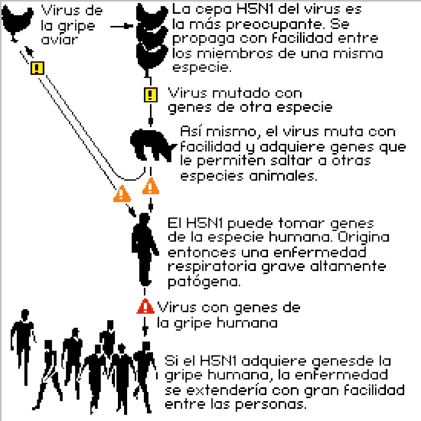 Esquema De La Propagación De La Gripe Aviar Sociedad El PaÍs 3191