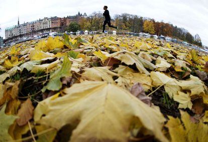 Estorninos vuelan por encima de los viñedos de Champagne adornados con los colores del otoño, después de la cosecha, en Mailly-Champagne cerca de Reims, al este de Francia, 31 de octubre de 2013.