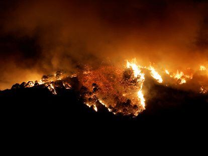 El incendio forestal visto desde Benahavís, Málaga.