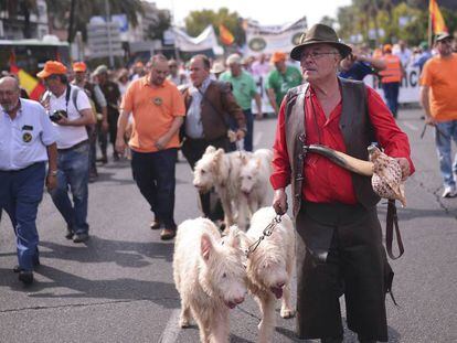 Participantes en la manifestaci&oacute;n celebrada en C&oacute;rdoba bajo el lema &quot;En defensa del Mundo Rural y sus Tradiciones&quot;.