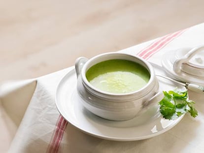 Gazpacho de cilantro