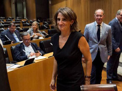 La ministra Teresa Ribera, en el Congreso. 