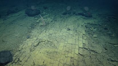 El "camino de baldosas" hallado por un grupo de científicos en el océano Pacífico cerca de Hawái. 
