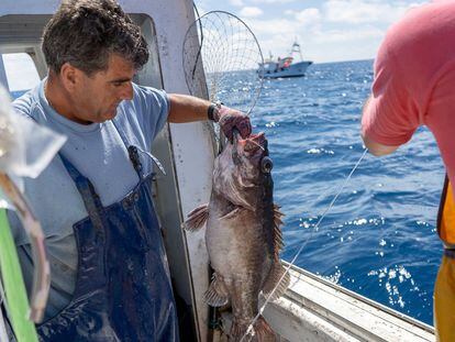 Manuel Ligero, patrón del barco de pesca ‘El Millonario’, sacando parte de la captura obtenida en aguas de Marruecos.