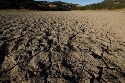 Fotografía del lecho seco del Lago Mendocino, el pasado día 22 de junio, en Ukiah (Estados Unidos).