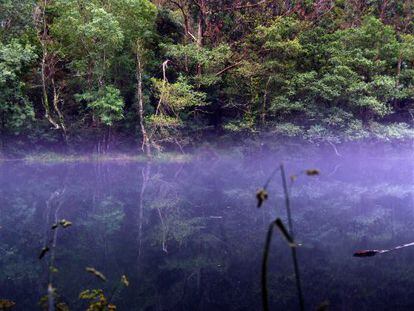 Niebla sobre el r&iacute;o en el Parque Natural de As Fragas 