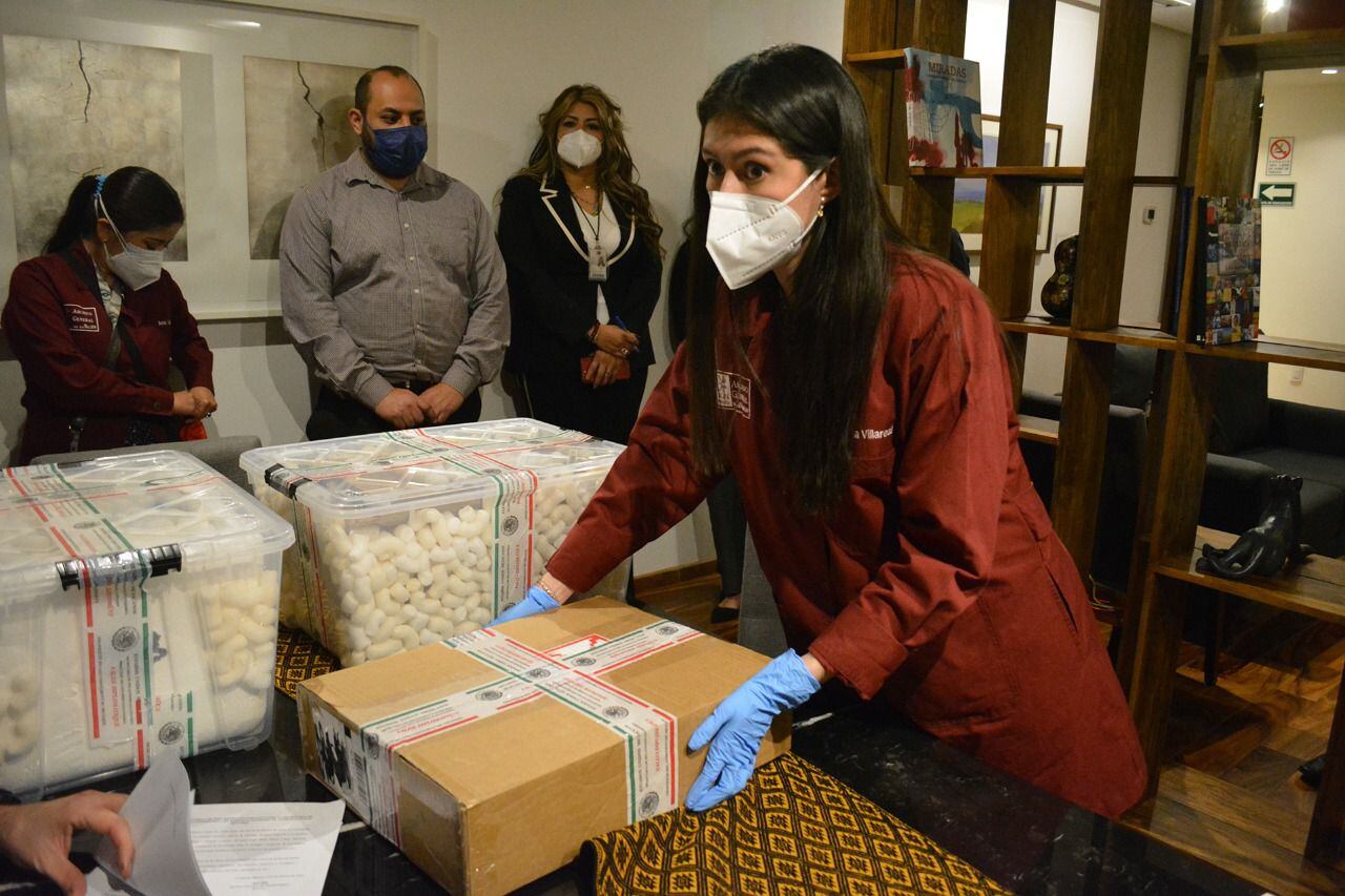 Una investigadora sostiene una caja con documentos sustraídos del Archivo General de la Nación y recuperados en Estados Unidos. 