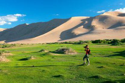 Hierba y dunas de arena en el desierto del Gobi, en Mongolia.