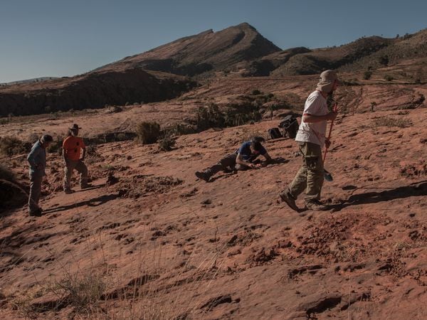 Al sur de Bolivia, paleontólogos hallaron centenares de huellas fosilizadas. Una nueva datación las convierten en las huellas de animales terrestres más antiguas de este país sudamericano.