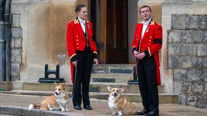 'Muick' y 'Sandy', los últimos corgis de la reina Isabel, esperan a las puertas de la capilla de San Jorge, en Windsor, el día del funeral de la monarca, el 19 de septiembre de 2022.
