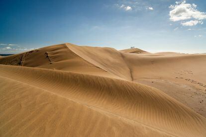 Las más de 400 hectáreas de la reserva natural especial de las Dunas de Maspalomas engloban una playa, un campo de dunas vivas de arena orgánica (en la foto), un bosque de palmeras y una laguna salobre. Desierto y oasis en la costa del extremo sur de Gran Canaria, rodeado todo por los servicios turísticos del núcleo de Maspalomas. El centro de información y el mirador se ubican en el hotel Riu Palace, en el sector nordeste, conocido como playa del Inglés.