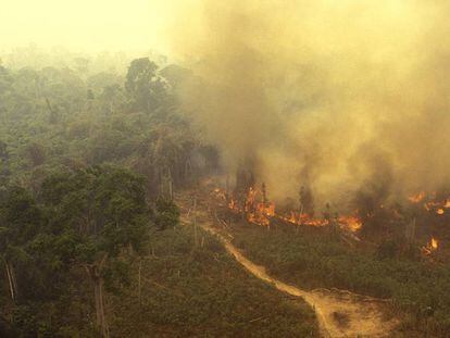 Vista de un incendio en el Amazonas.