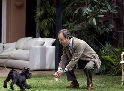 Santiago Dexeus juega con<i> Chunga,</i> su perra, en el jardín de su casa.