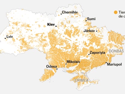 “Ucrania era nuestro granero”: así destroza la guerra los cultivos 