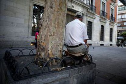 En la plaza de Jacinto Benavente no hay bancos, frente a más de 200 sillas de terrazas de pago.
