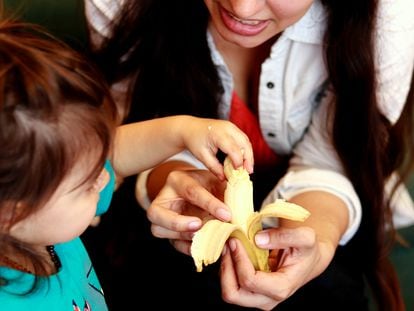 Algunos alimentos para que el niño se recupere de la gastroenteritis son la fruta y la verdura, excepto las de hoja verde o la col y la coliflor