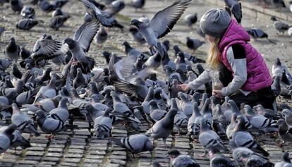 Una nena alimenta uns coloms a la plaça Catalunya.