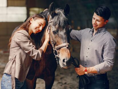 MBA en Dirección y Gestión de Centros de Cuidados, Rehabilitación y Entrenamiento Ecuestre
