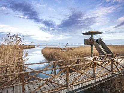 Torre d'observació ornitològica a la llacuna de l'Encayissada, al Delta de l'Ebre.