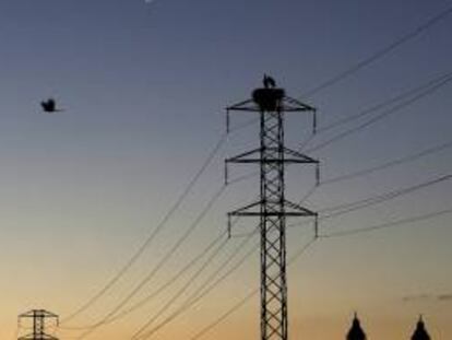 Dos cigüeñas permanecen en el nido de la torre de un tendido eléctrico cercano a la Catedral de Pamplona.