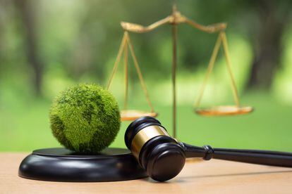 Environment Law. Green World and gavel with scales of justice on the green. law for principles of sustainable environmental conservation. law that governs how humans interact with their environment