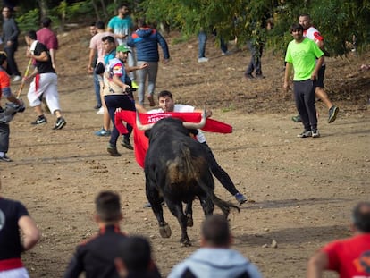 Participantes en el festejo del Toro de la Vega que la villa de Tordesillas (Valladolid) en 2019.