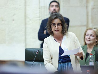 La consejera andaluza de Salud, Catalina García. durante una intervención en el Pleno del Parlamento andaluz, el 11 de abril.