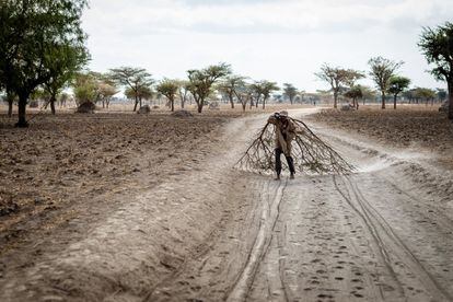 Como consecuencia del cambio climático, las sequías en Etiopía se han vuelto más frecuentes y severas durante la última década. El país ha sufrido tres temporadas seguidas de cosechas fallidas desde mediados de 2014. La actual sequía en Etiopía, exacerbada por el fenómeno meteorológico El Niño, es la peor que ha sufrido en las últimas cinco décadas. Según la Agencia de Estados Unidos para el Desarrollo Internacional (Usaid), más de 10 millones de personas necesitan ayuda alimentaria.
