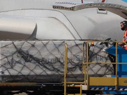 Operarios descargan de un avión de Aerolíneas Argentinas los primeros contenedores de la vacuna rusa Sputnik V contra la covid-19-