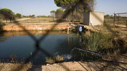Una balsa de riego ilegal en el entorno de Doñana.
