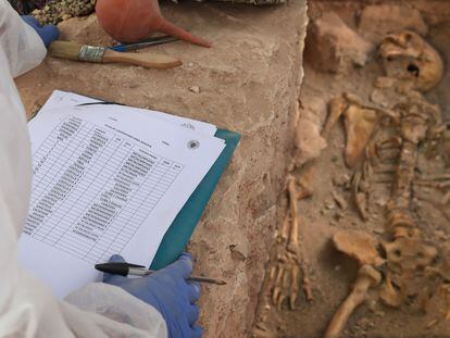 Trabajos de exhumacion de la fosa comun anexa al cementerio de Almagro, en Ciudad Real, el pasado mayo.