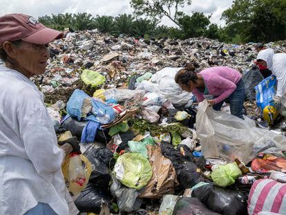 Martha Elena, de 61 años, en primer plano, clasifica junto a más pepenadoras la basura que acaba de descargar el último camión de basura.