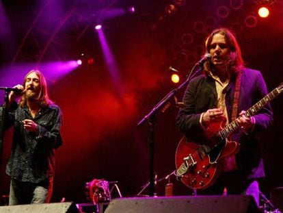 Chris Robinson, a la izquierda, y Rich Robinson en un concierto en 2006.