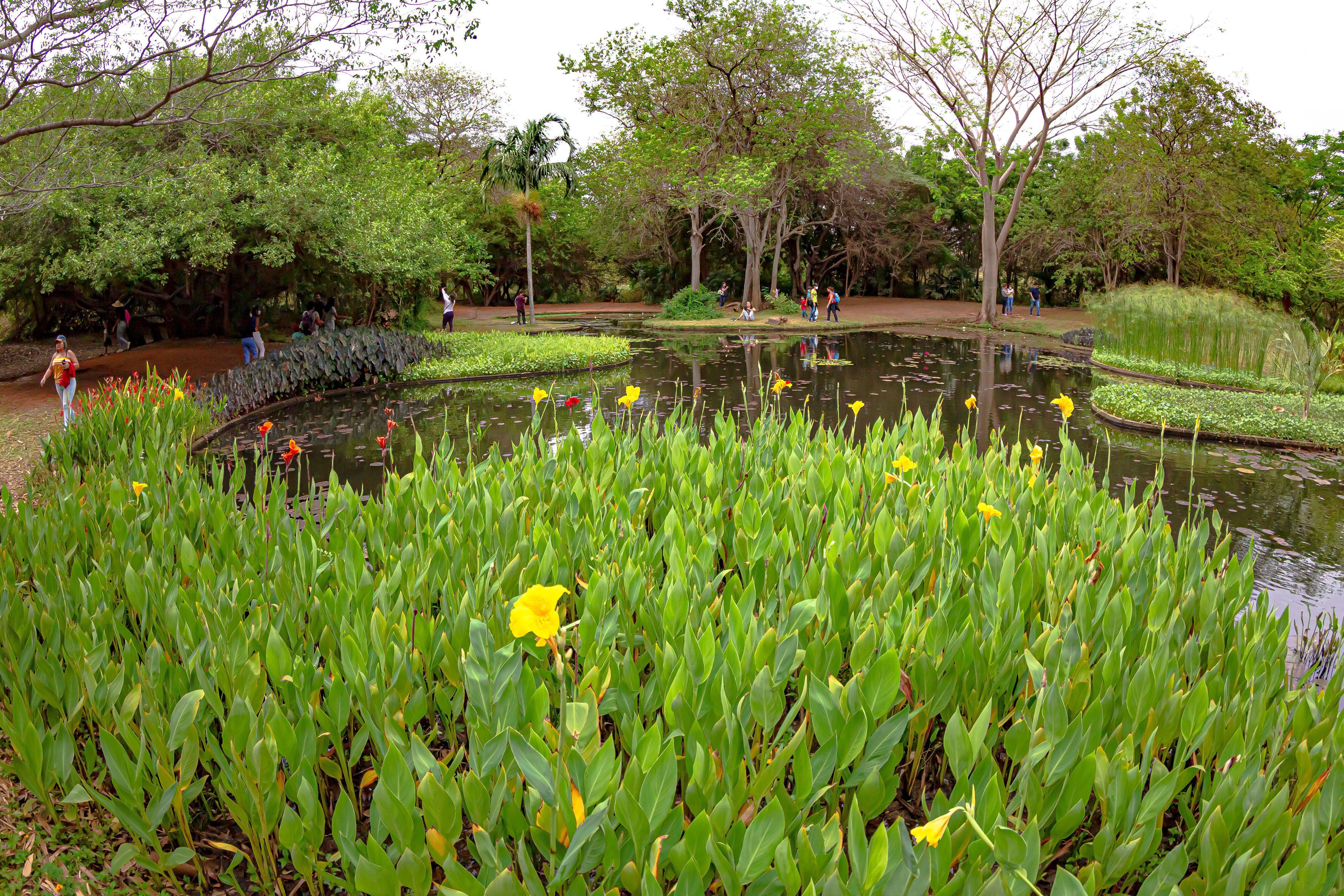  Jardín Botánico de Maracaibo en Venezuela.© JOSE