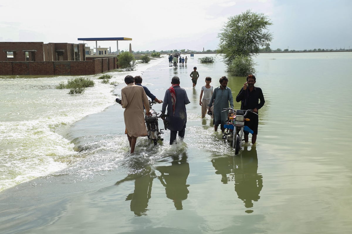 Cambio climático, impuestos y equidad: instrucciones de uso |  Clima y Ambiente Medio