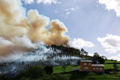 Incendio forestal en localidad asturiana de Setienes, el viernes. 