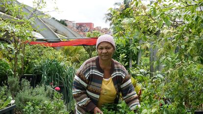 María Carvalho Santos colabora en la gran huerta del barrio y es beneficiaria de las cestas de hortalizas orgánicas.