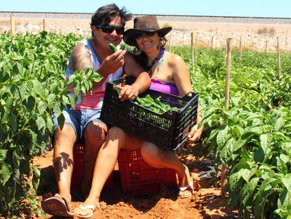 Los propietarios de la empresa Jalape&ntilde;os Tu Gitana en su huerta, en Valencia.