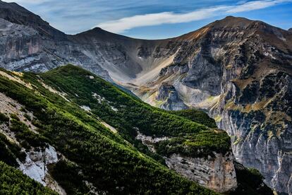 Pinares en las faldas del monte Focalone, en el parque nacional Majella, en la región italiana de los Abruzos.