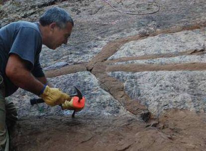 Un paleontólogo excava rastros de gusanos gigantes en el Parque Nacional de Cabañeros.
