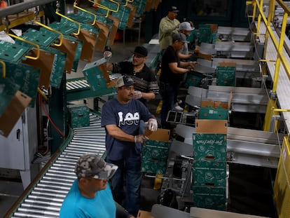 Trabajadores empaquetan duraznos en Fort Valley, Georgia.